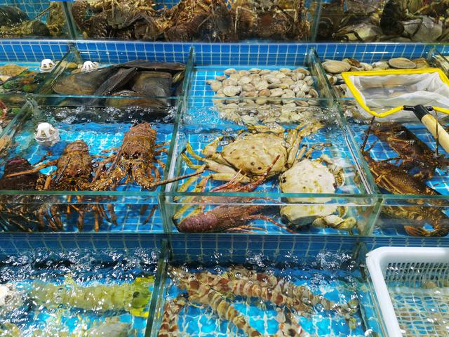 高端水產(chǎn)品價(jià)格探秘 為何一些水產(chǎn)售價(jià)如此昂貴？