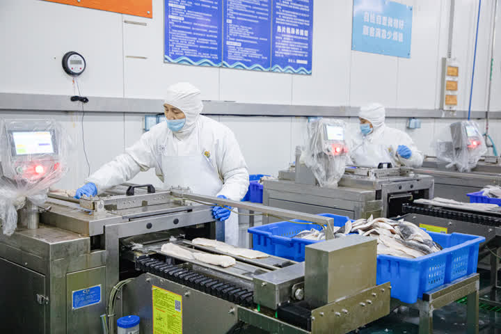 開辟綠色生命通道，海安中洋集團200噸水產食品馳援上海保供穩鏈