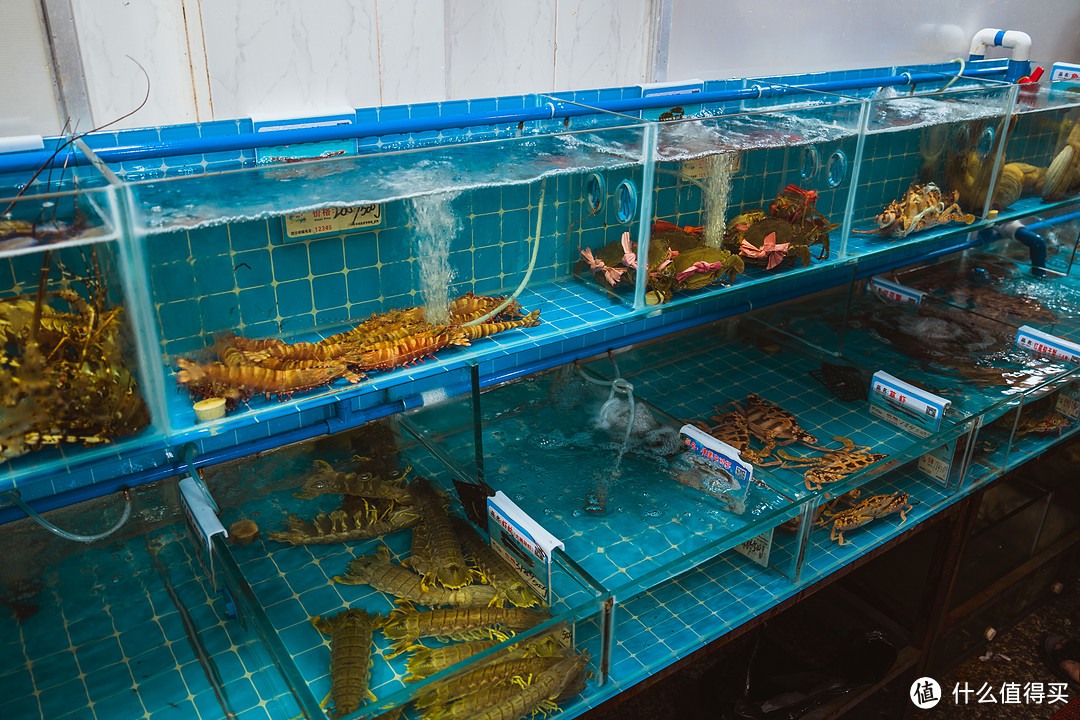 小縣城海鮮生意經 機遇、挑戰與成功之道