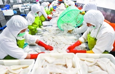 福建晉江水產加工出口快速增長，加工貿易成發展新引擎
