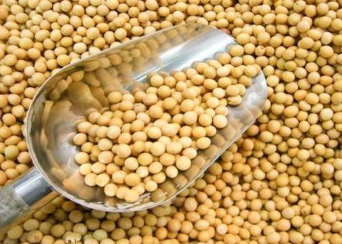 寧波進口食品排行榜揭曉 水產品榮登榜首，吃貨最愛一覽